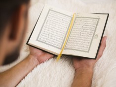 حلقة الصديق